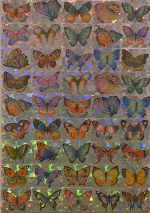 BODNAR Eva 
"Butterfly", 1994 
sticker / canvas 
 29 x 21 cm  
 
please click the image to enlarge