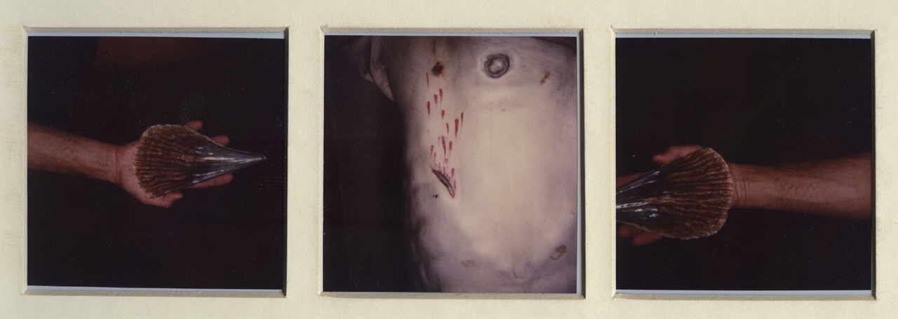Doppler Horst Maria 
Ohne Titel, 1989
Polaroid
3 * 8 x 8 cm