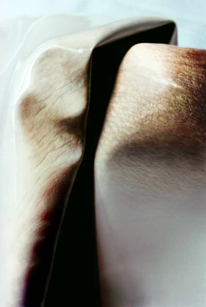 Göltl Michaela 
"transformation", 2002
Digitaldruck auf Hartschaumplatte kaschiert, mit UV-Schutzfolie laminiert
Abbildungsgröße 104 x 75 cm Hartschaumplatte 134 x 100 cm