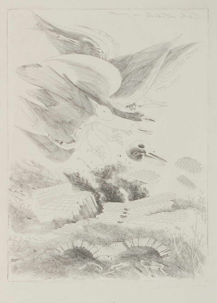 Lehmden Anton 
"Vogel über aufgebrochener Landschaft", 1978
etching / handmade paper
Papiergröße 0 x 0 cm