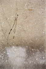 LENZENHOFER Lydia 
aus "Die Qualle am Walle", 2000 
Photo / Aluminium 
 17 x 12 cm  
 
chascar por favor la imagen para agrandar