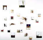 RAUSCH Kevin A. 
"Rhodos", 2003 
Installation 
mit 24 Arbeiten 0 cm  
 
chascar por favor la imagen para agrandar