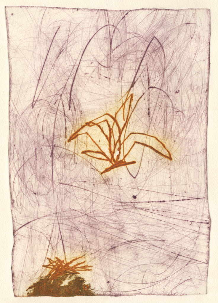 Renard Emmanuelle 
Ohne Titel, 1989
Farbradierung / Archesbütten
Plattengröße 38 x 27 cm Papiergröße 66 x 50 cm