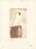RENARD Emmanuelle 
untitled, 1989 
colour etching / arches handmade paper (8 / 15) 
Plattengröße 43 x 23 cm Papiergröße 66 x 50 cm 
 
please click the image to enlarge