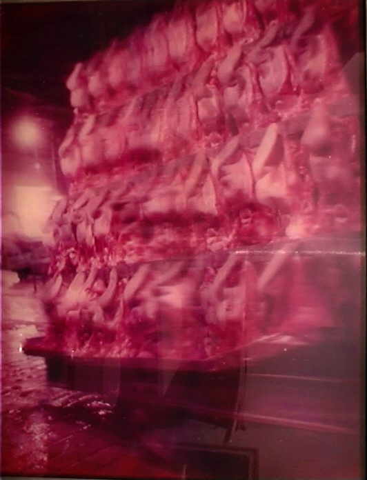 Schilling Alphons 
untitled, 1970
Heliogramm
40 x 30 cm