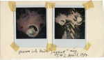 WERKNER Turi 
"Warum ich keinen "Joogurt" mag", 1980 
Polaroid, Klebestreifen, Tuschstift / cartulina 
 26 x 15 cm  
 
chascar por favor la imagen para agrandar