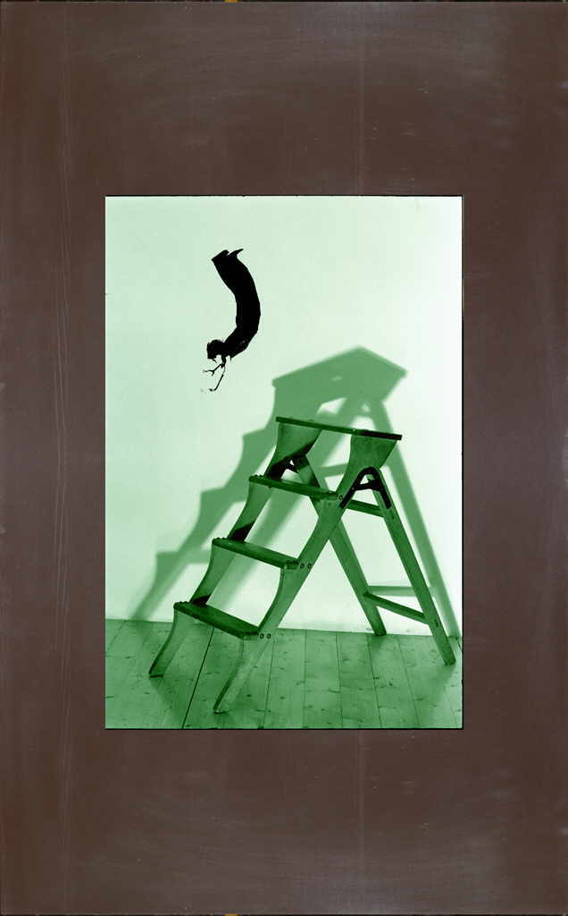 Zauner Christa 
"Glänzend-Matt", 2002
Cibacrome, Kopie auf Aluminium kaschiert
Fotogröße 45 x 30 cm Alugröße 85 x 50 cm