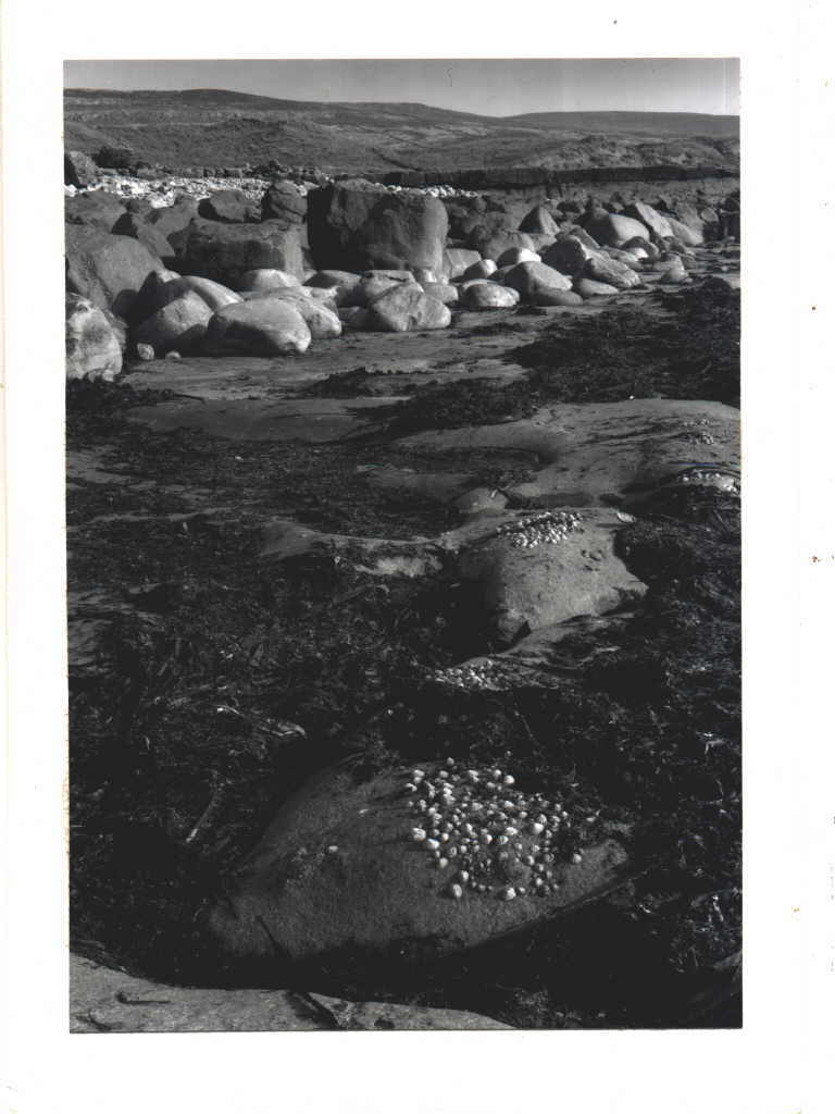Heinz Grosskopf 
aus "Konzert der 510 Glückwunschkarten", 1996
Gelatine-Silverprint / Barytpapier, handmade paper
21 x 14 cm